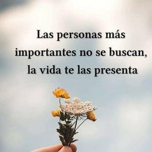 Meet your Posher, Vilma